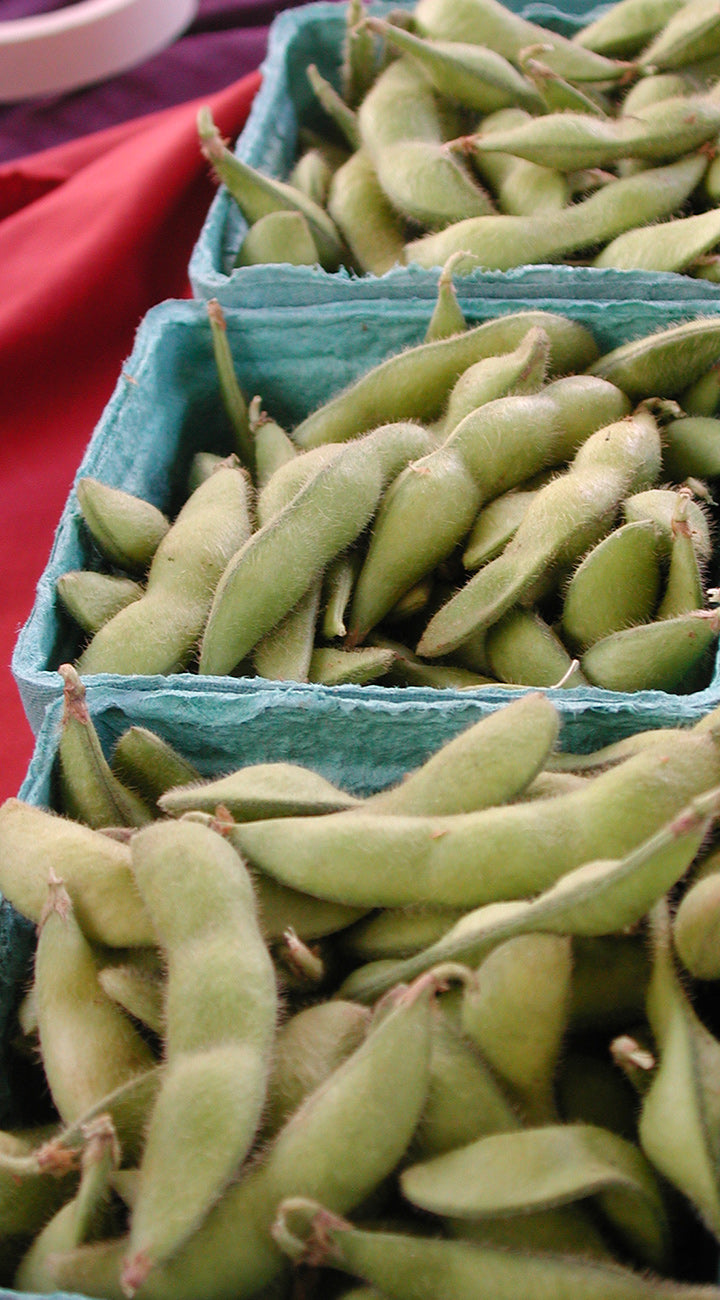 Green soy beans in blue cartons on a red surface