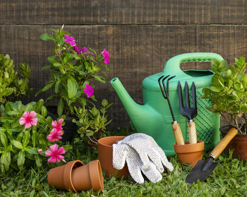 Gardening tools and plants with a green watering can against a wooden fence.