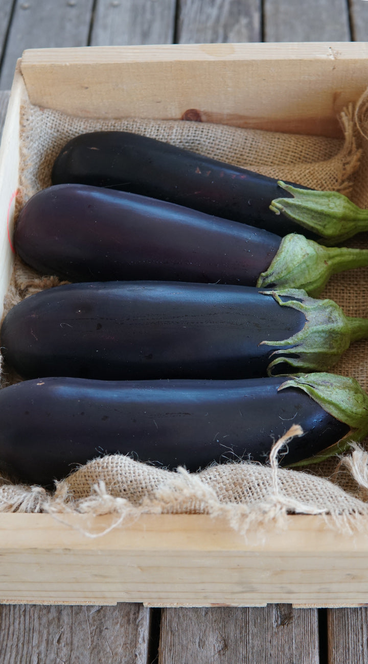 Four eggplants in a wooden box on a rustic wooden surface