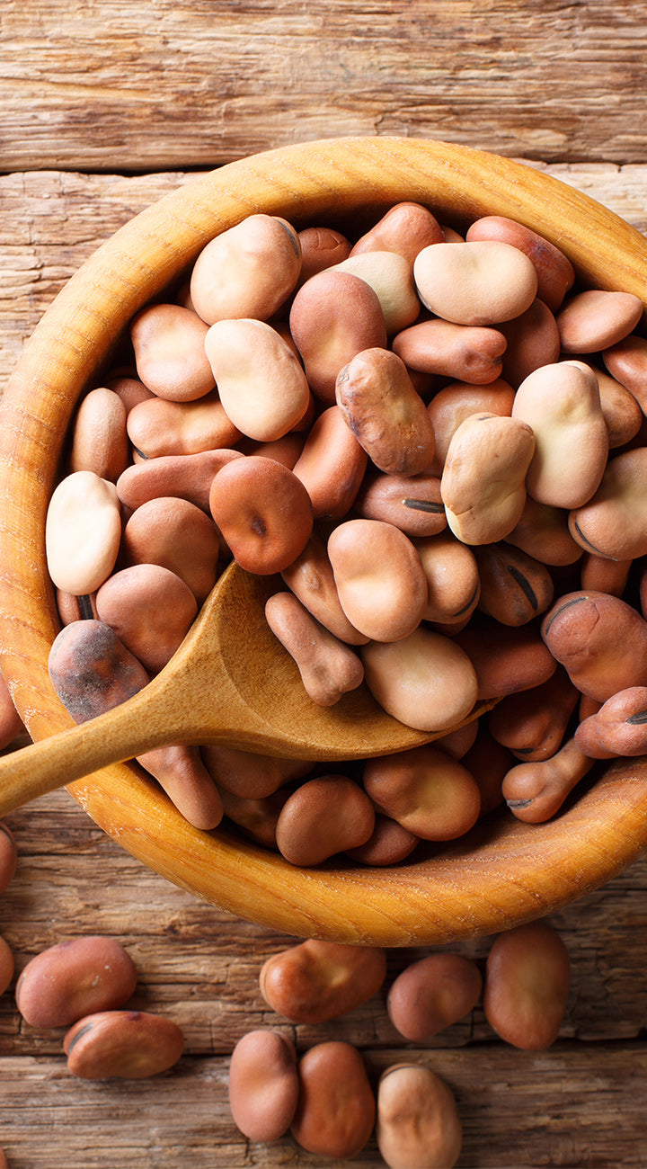 Wooden bowl filled with dried fava beans on a wooden surface