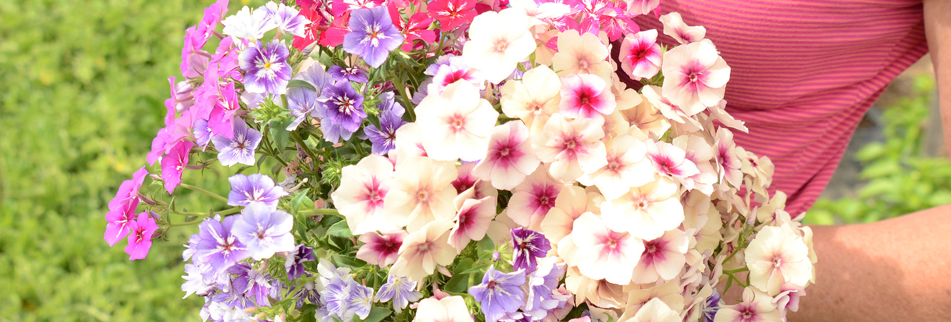 Bouquet of pink, white, and purple flowers held by a person wearing a pink dress.
