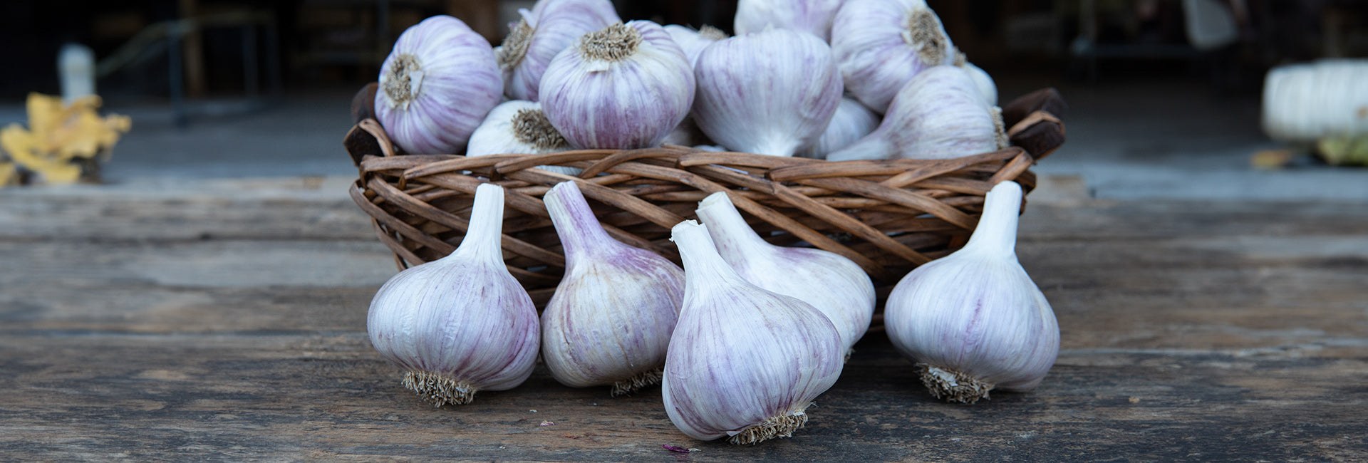 Basket of garlic bulbs on a wooden surface