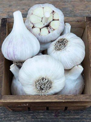 Garlic bulbs in a wooden box on a wooden surface