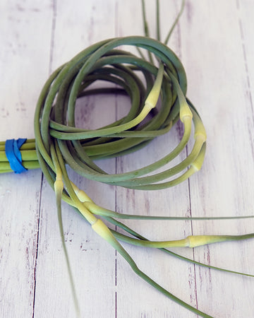 Bunch of green garlic scapes tied with a blue rubber band on a wooden surface