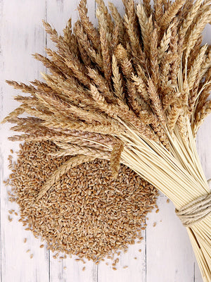 Bunch of wheat stalks with wheat grains on a light wooden surface