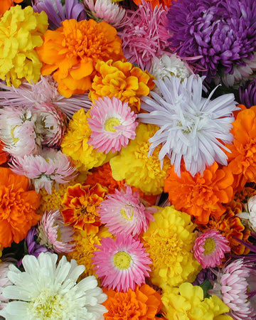 Colorful bouquet of flowers including marigolds and chrysanthemums.