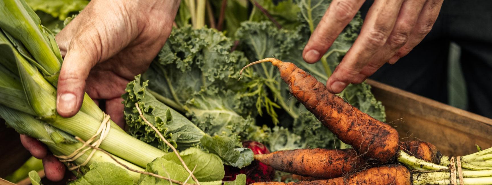 Hands holding fresh vegetables including carrots and greens with a blurred background