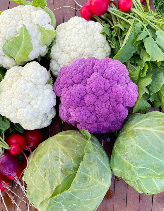 A close-up arrangement of fresh vegetables on a wooden surface, including white and purple cauliflower, green cabbage leaves, red radishes, and leafy greens.
