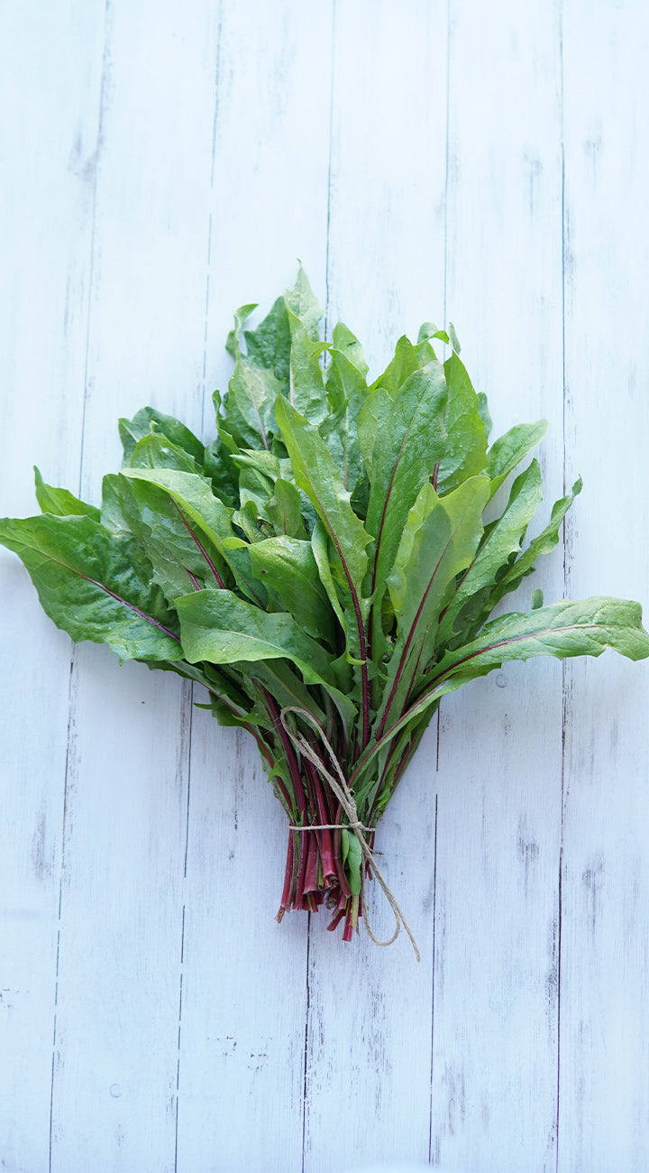 Bunch of green leafy italian dandelion leaves on a light blue wooden surface