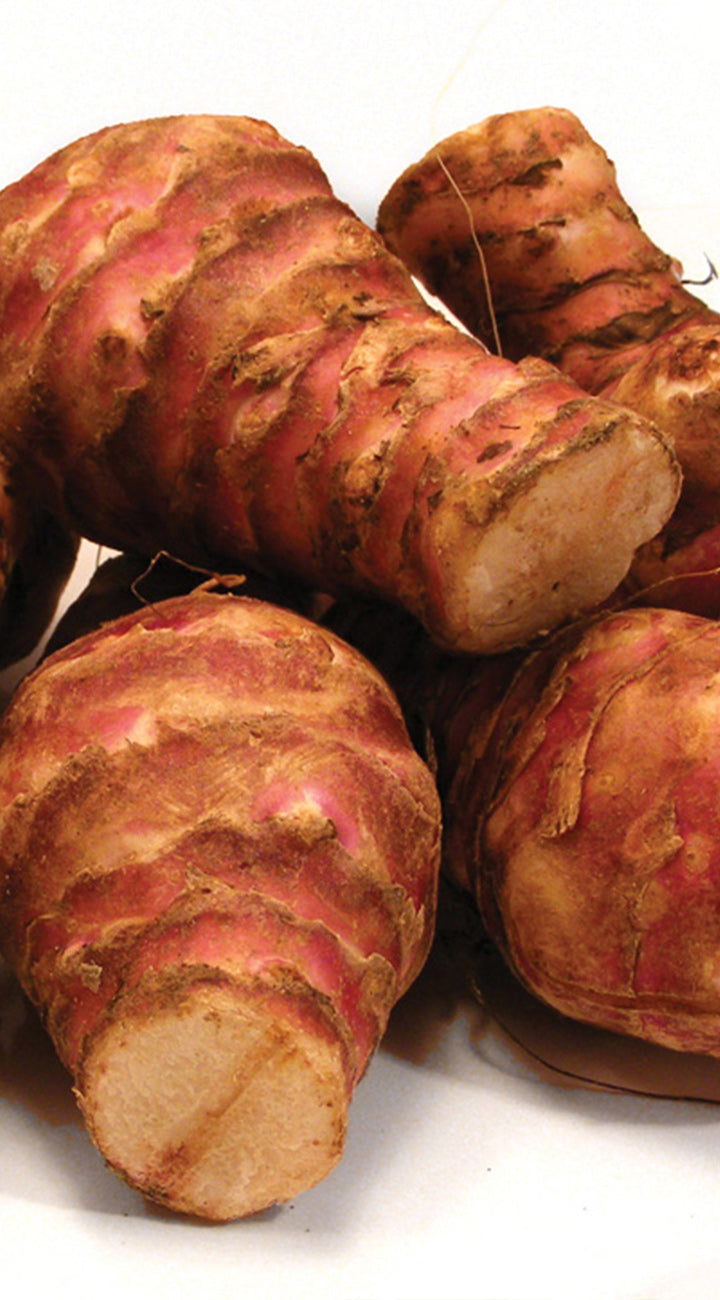 Close-up of several Jerusalem artichokes on a white background