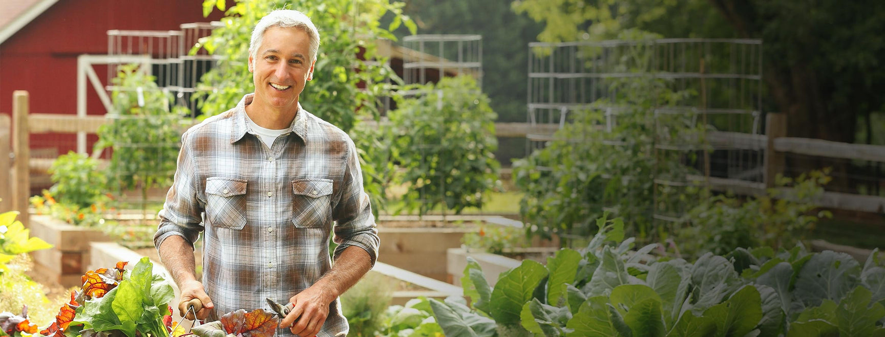 Joe Gardener holding a basket of vegetables in a garden