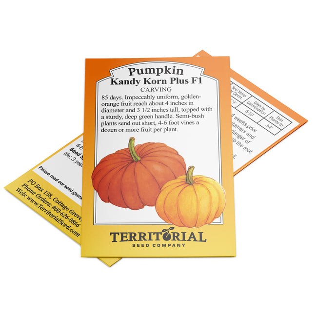 Front view of Kandy Korn Plus pumpkin seed packet showing illustrated orange pumpkins and brand name on white background