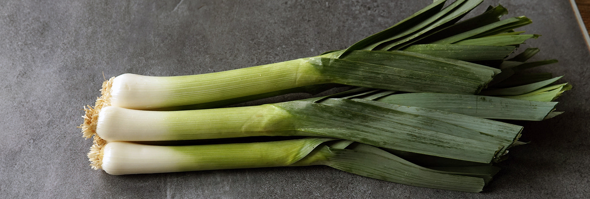 Side view of three leeks showing long white shanks and dark green leaves on a gray stone background