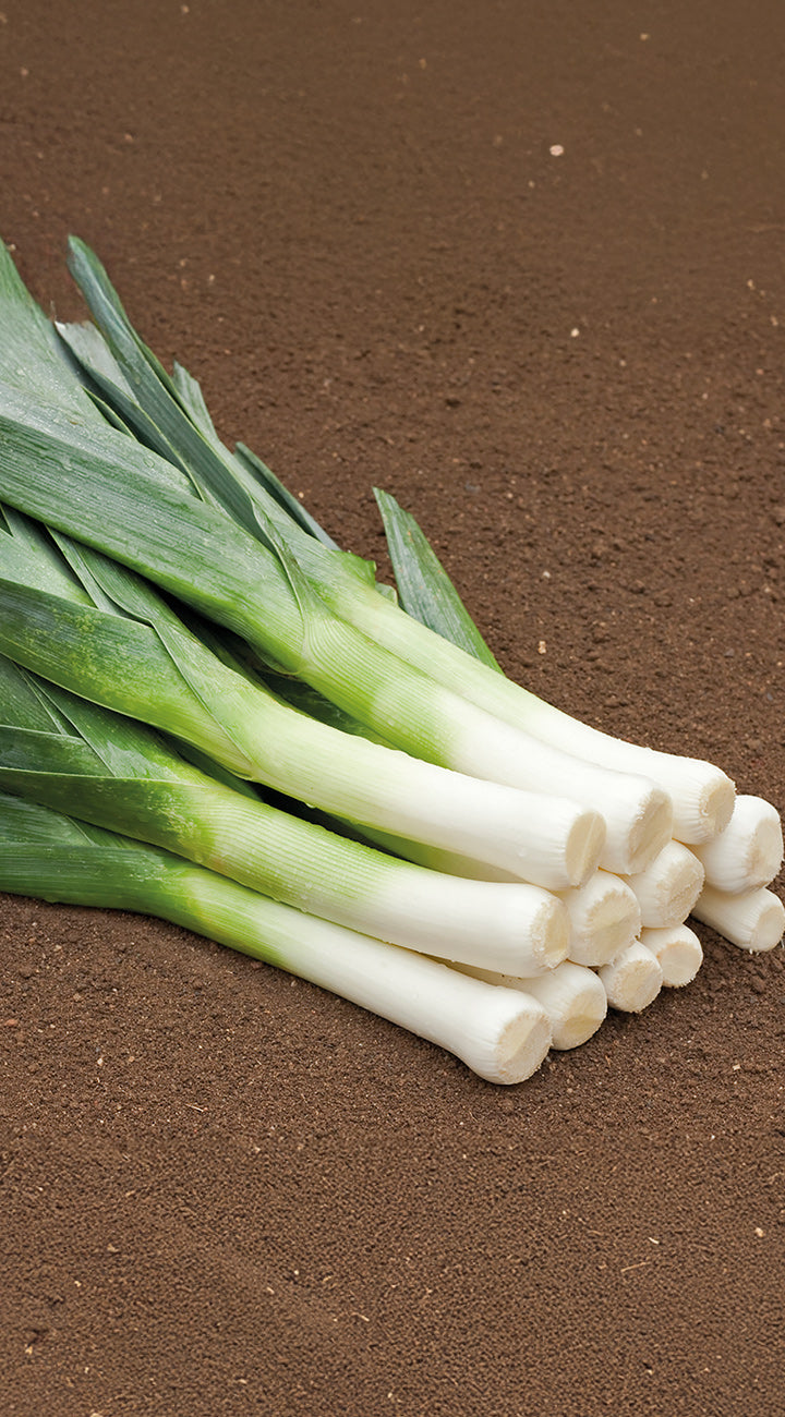 Bunch of green leeks on a brown surface