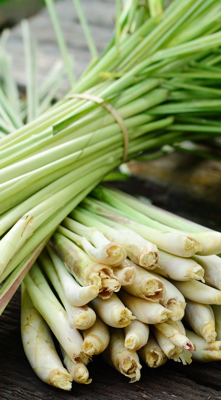 Bunch of lemongrass stems on a wooden surface