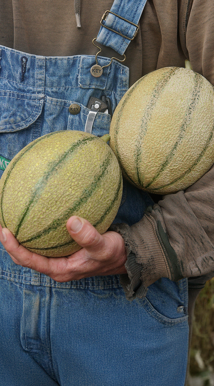 Person holding two cantaloupes with overalls and a brown jacket.