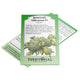 Front view of Millennium broccoli seed packet showing illustration of broccoli and green packaging on white background