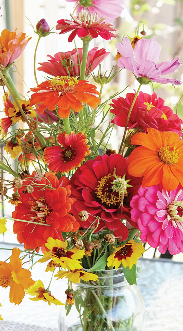 Close-up of Mow No More Mix blooms showcasing vibrant orange, red, pink and yellow flowers in a clear glass jar on a softly lit background
