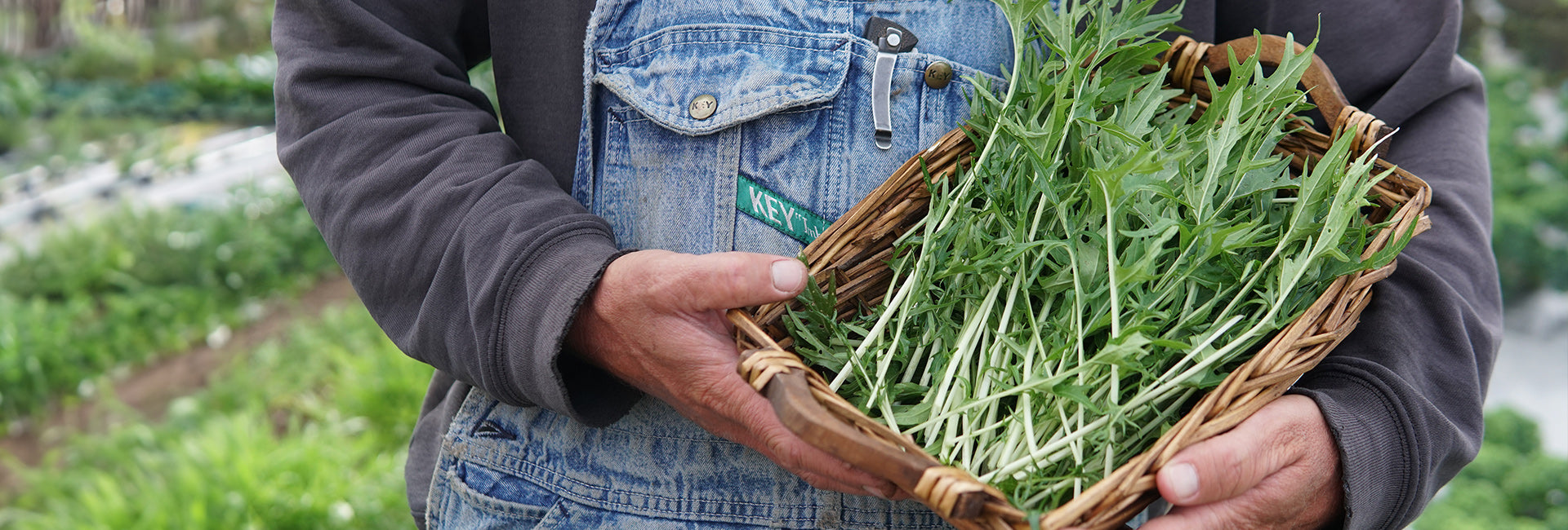 Person holding a basket of fresh mustard greens in an outdoor setting