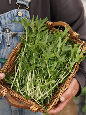 Person holding a basket of fresh green mustards