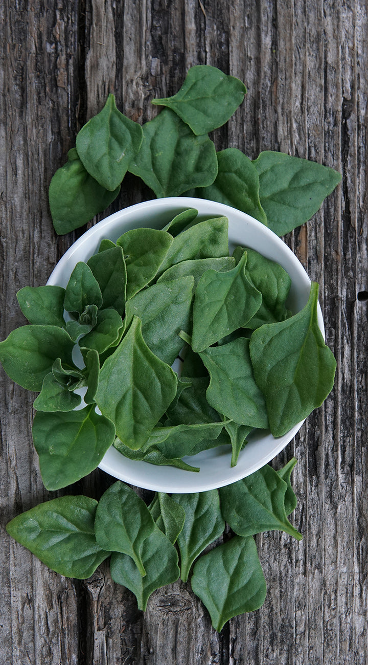 Green new zealand spinach leaves in a white bowl on a wooden surface