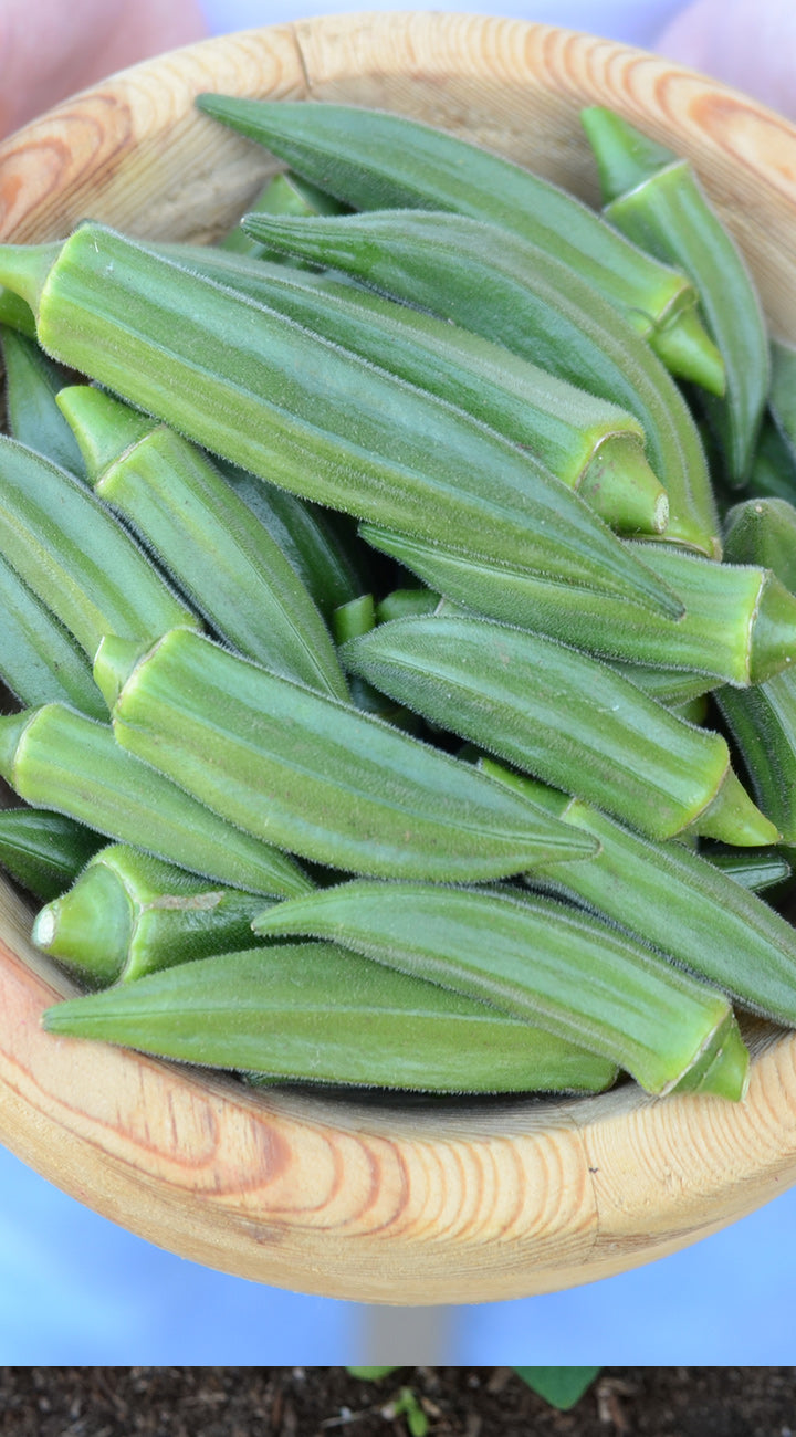 Green okra pods in a wooden bowl on a light blue background