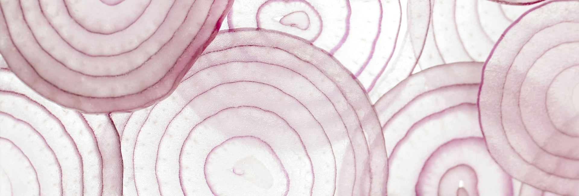 Pattern of concentric onions on a white background