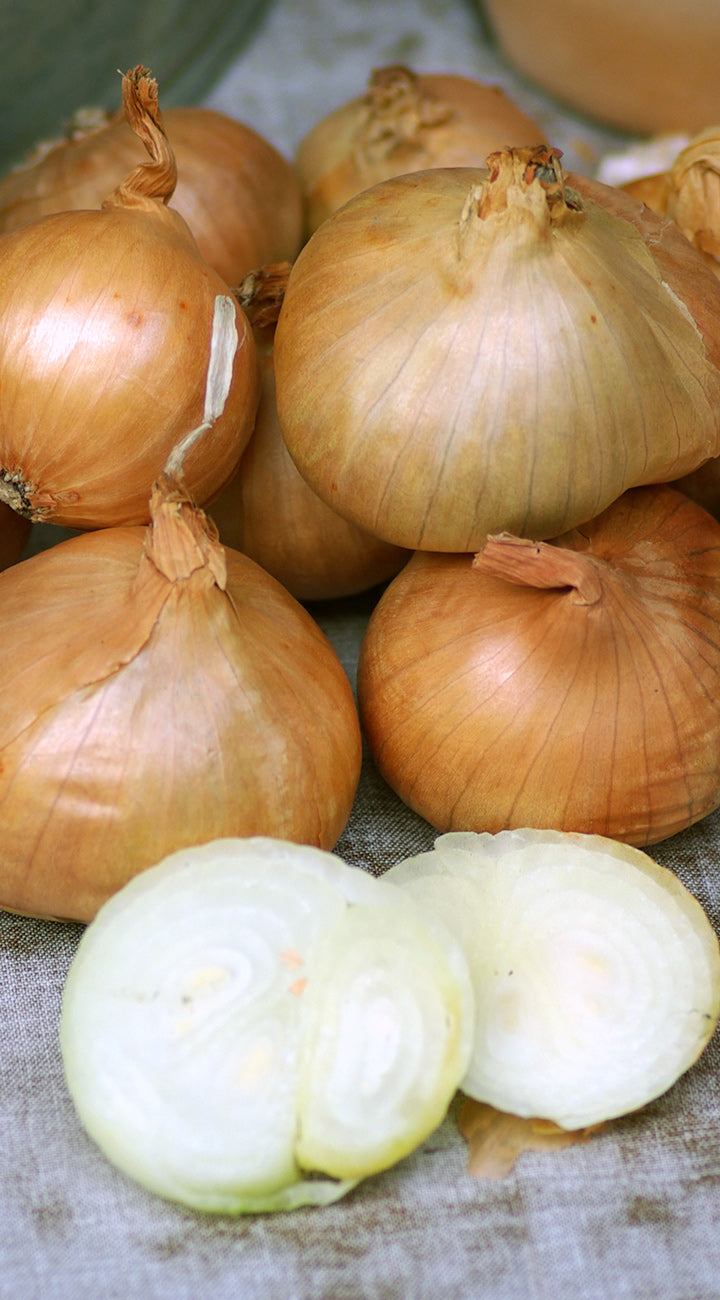 Onions with a few sliced open on a textured surface