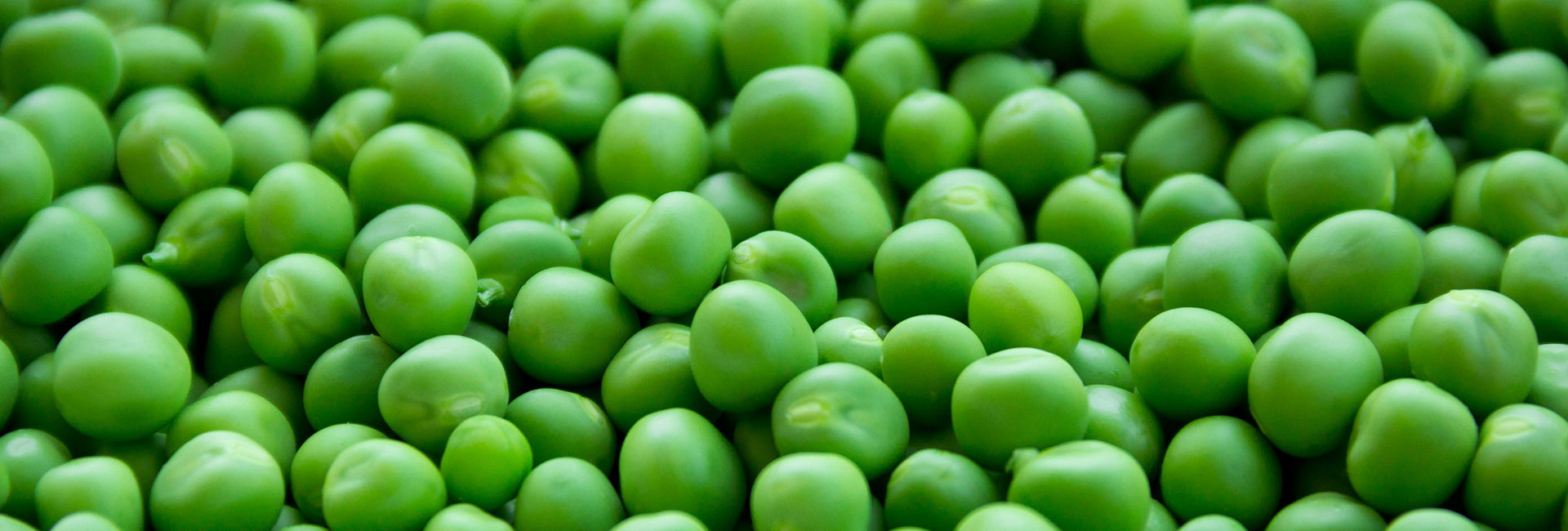 Close-up of green peas