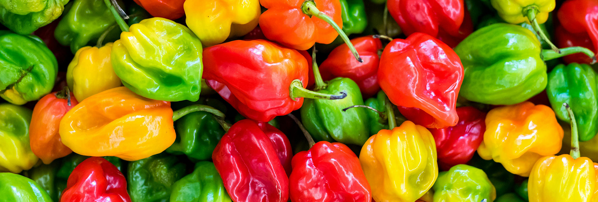 Assorted colorful peppers including red, green, and yellow.