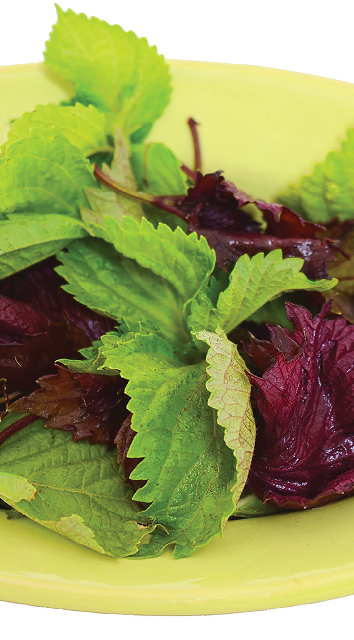 Assorted leafy perilla greens on a yellow plate