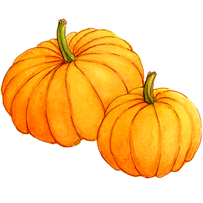 Decorative illustration of two orange pumpkins on a white background