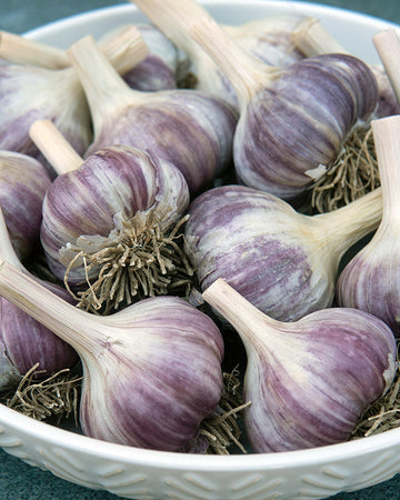 White bowl filled with purple garlic cloves on a textured surface