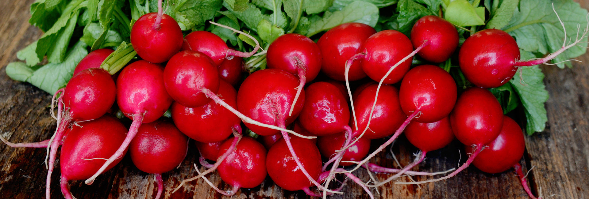Bunch of red radishes on a wooden surface