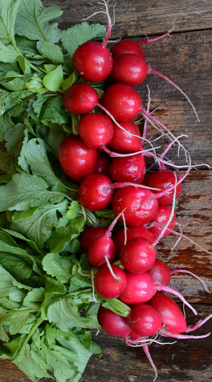 Bunch of red radishes with green leaves on a wooden surface