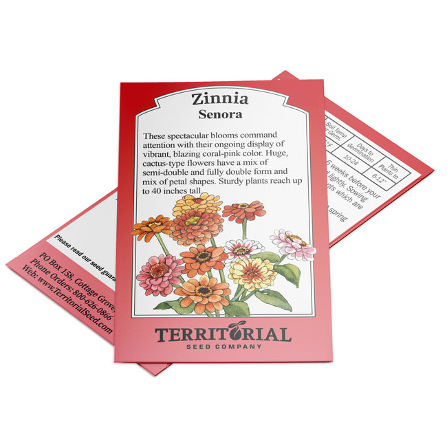 Front view of Senora zinnia seed packet showing coral-pink cactus-type blooms on white background