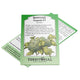 Front view of Sequoia broccoli seed packet showing broccoli head illustration and Territorial Seed branding on white background
