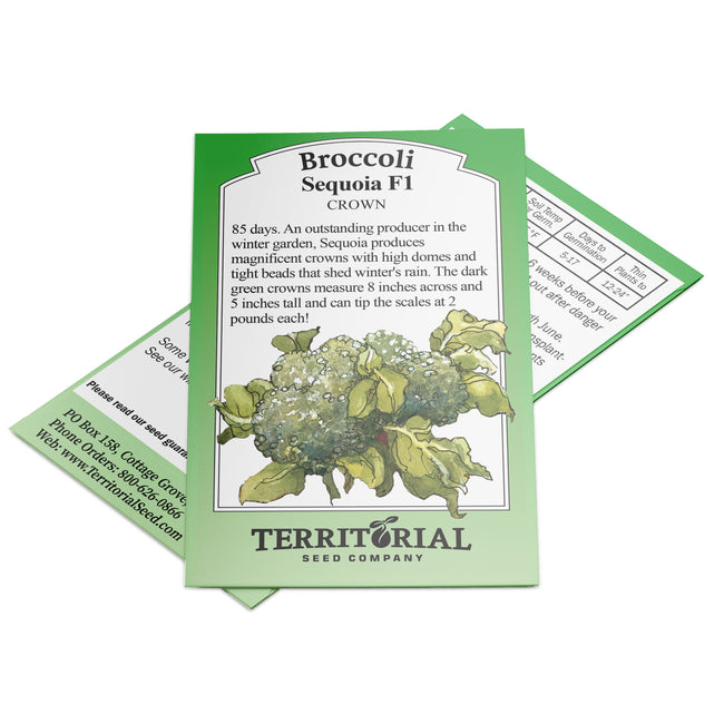 Front view of Sequoia broccoli seed packet showing broccoli head illustration and Territorial Seed branding on white background