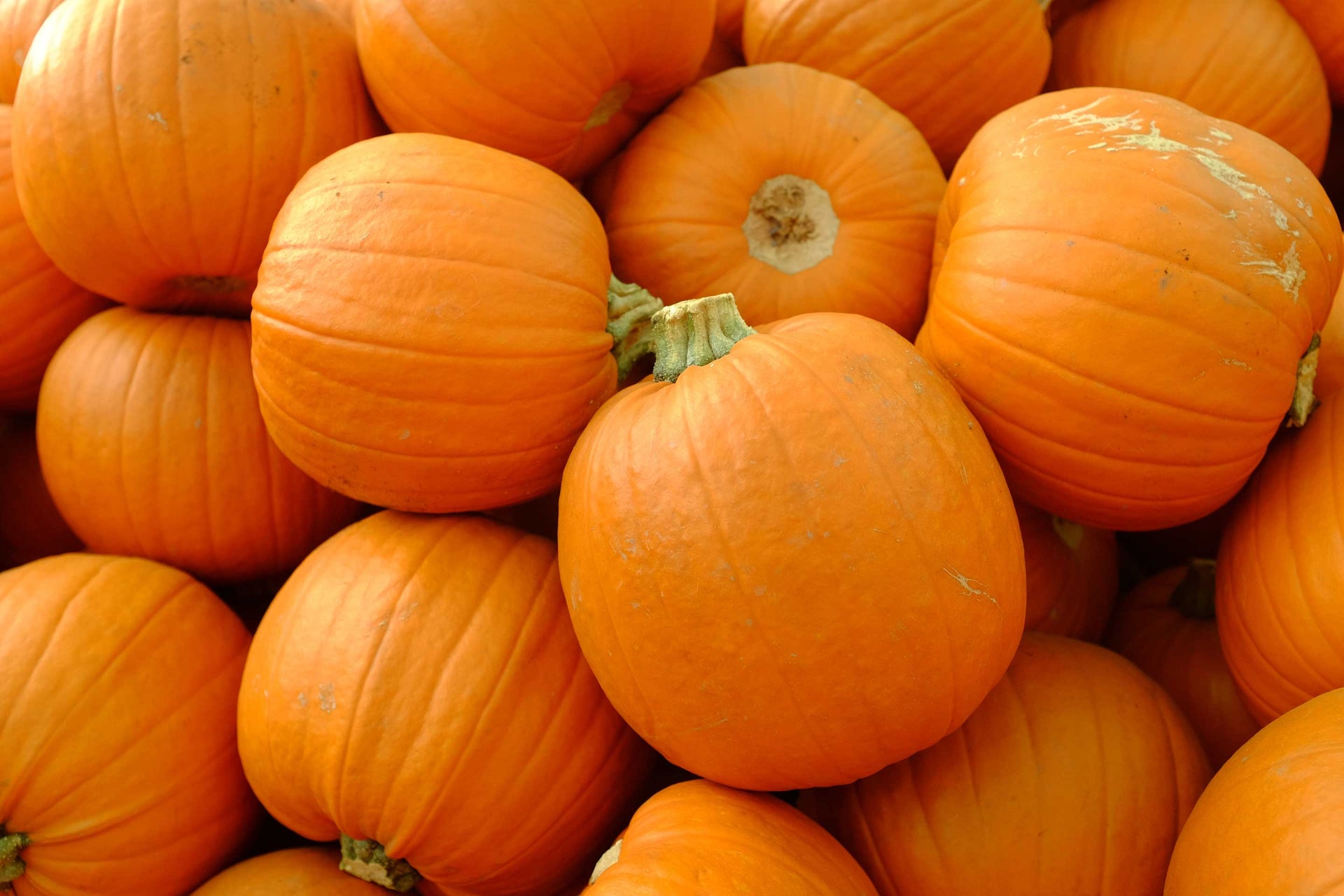 Stack of orange pumpkins with a close-up view