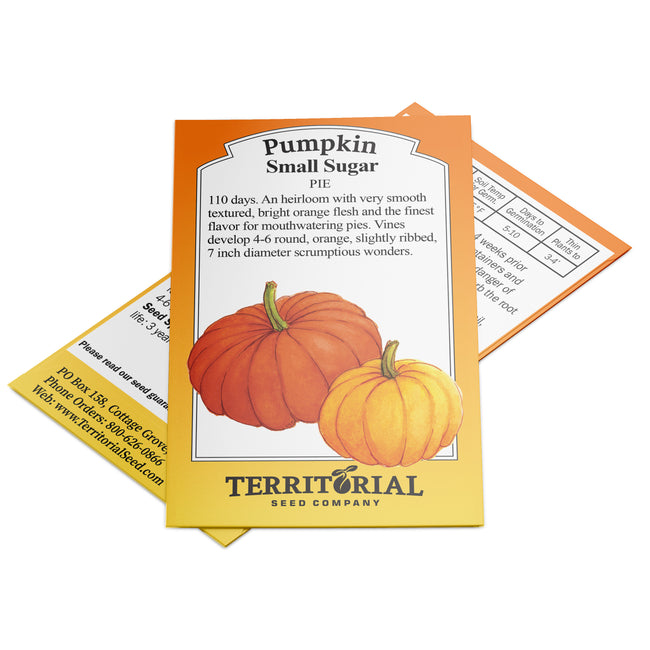 Front view of Small Sugar pumpkin seed packet showing illustration of two orange pumpkins and product text on white background