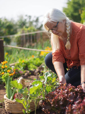 Woman tending to a garden with a basket of vegetables
