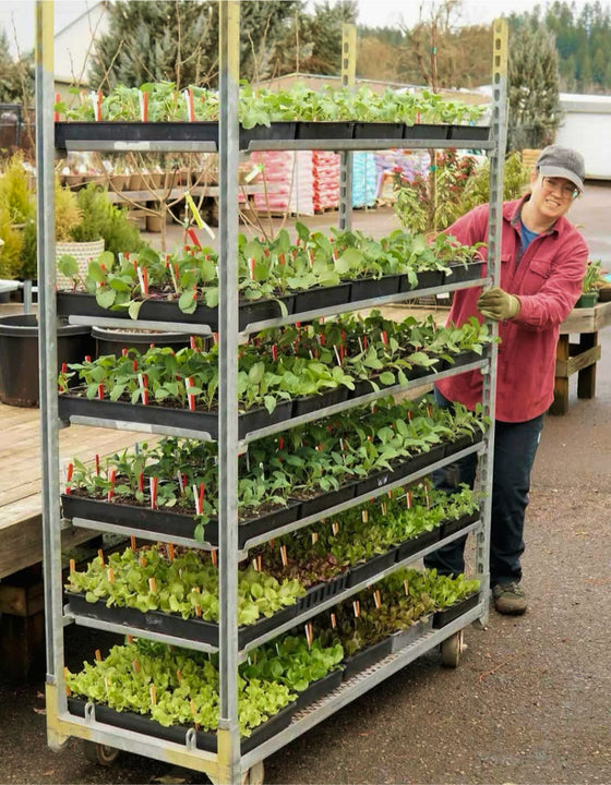 Person pushing a storage rack with wheels. The storage rack has plant transplants on it. 