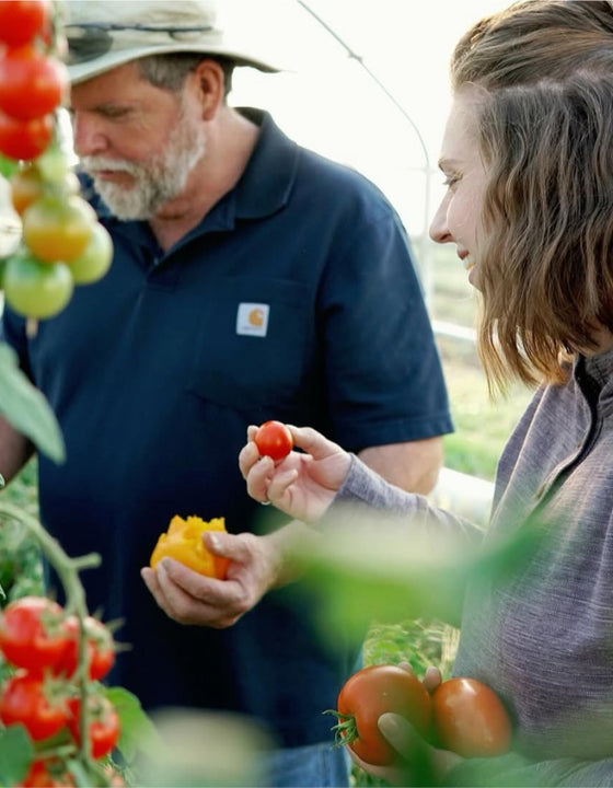 Two people looking at tomatoes.
