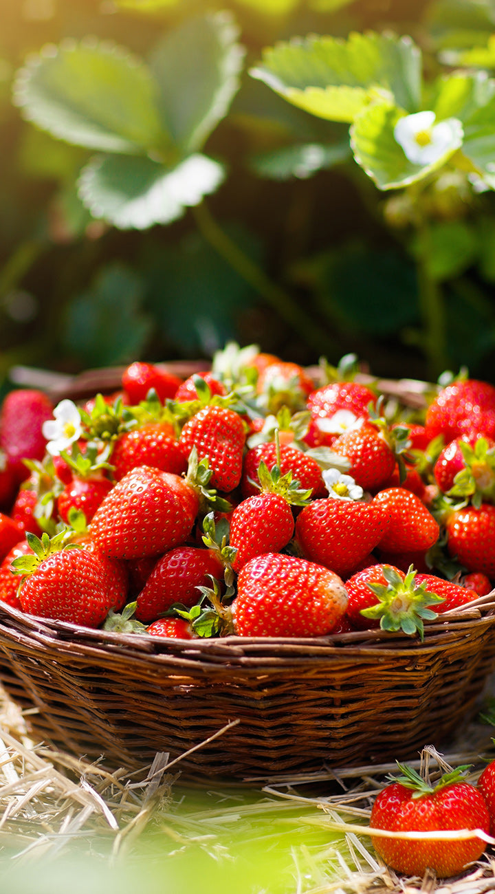 Basket of strawberries with a blurred garden background