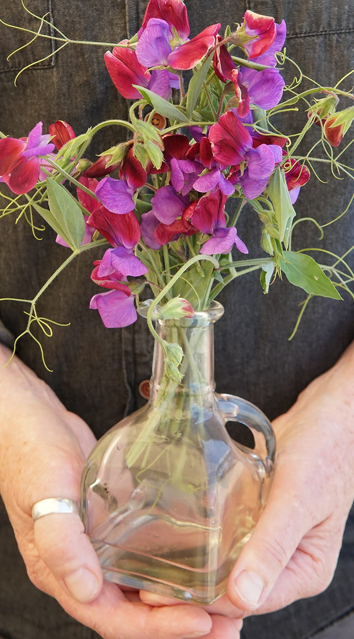 Clear glass vase with sweet pea flowers held by hands against a dark background