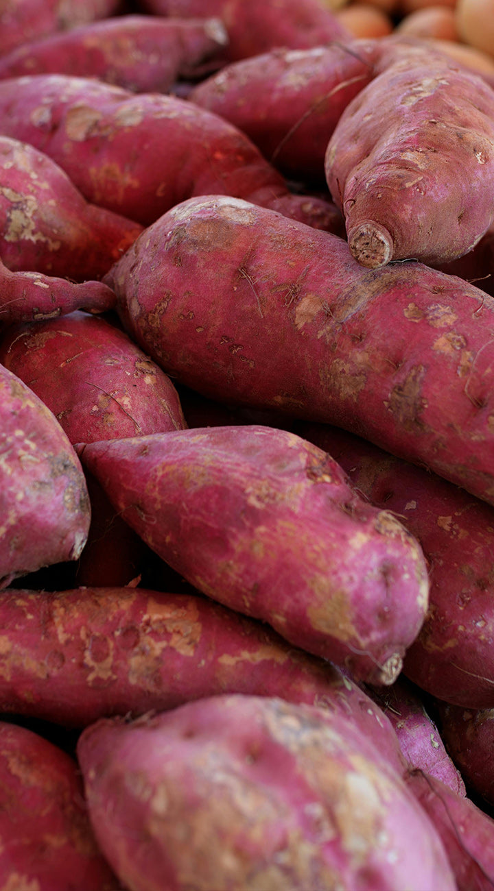 Red sweet potatoes up close