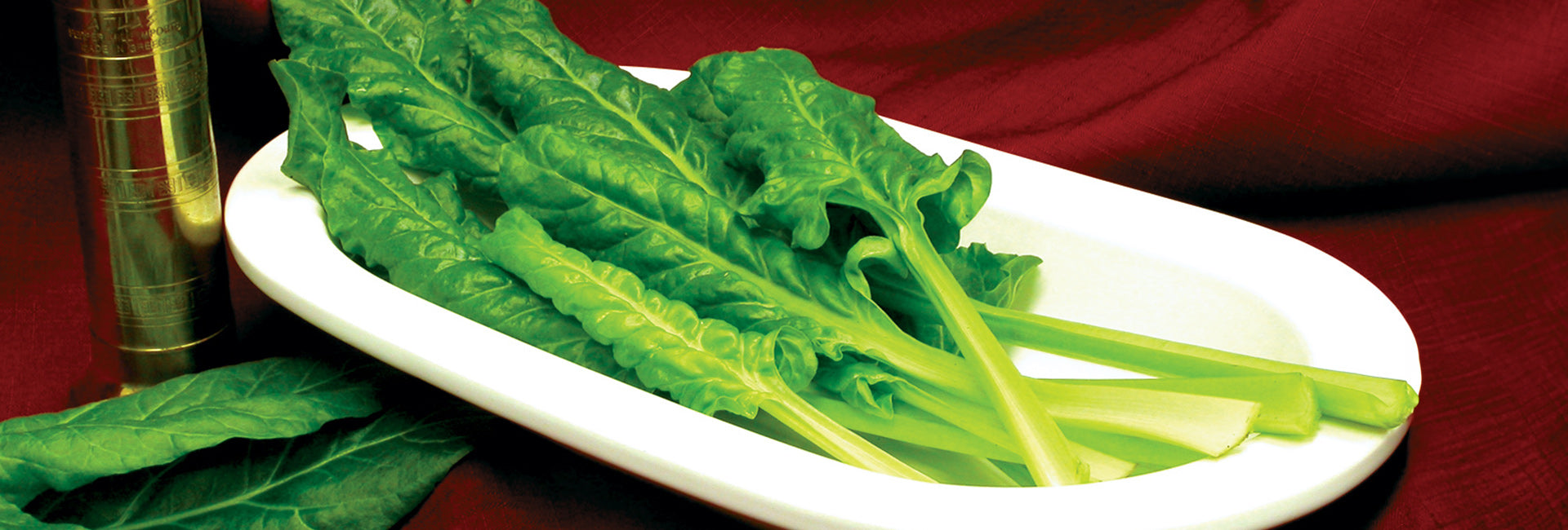 Top view of Swiss chard leaves showing glossy green crinkled leaves and pale ribs on a white plate with red background