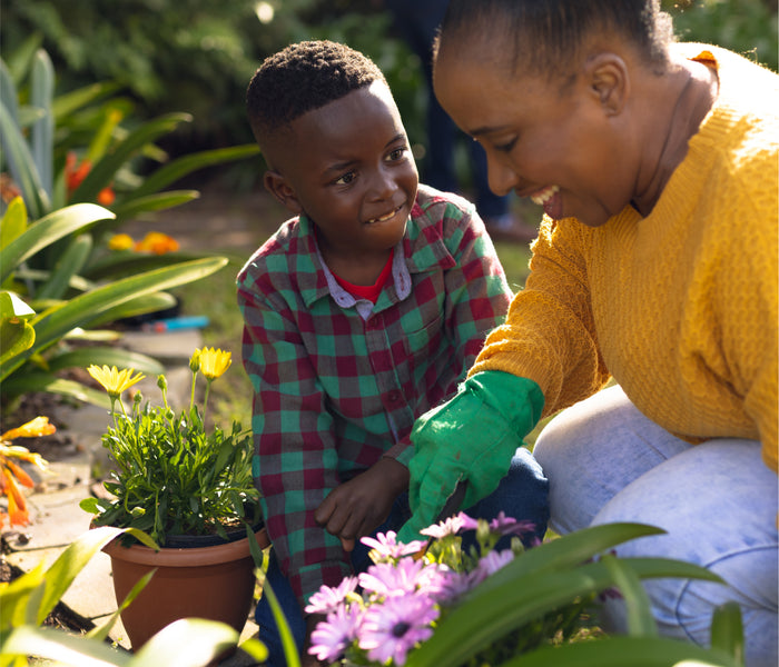 Two people planting flowers in a garden
