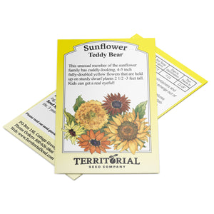 Front view of Teddy Bear sunflower seed packet showing illustrated double yellow blooms and Territorial Seed Company logo on white background
