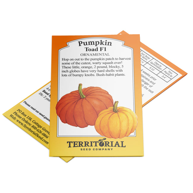 Front of Toad ornamental pumpkin seed packet showing illustrated bumpy orange pumpkins on white background